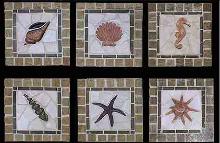 6x6 fancy shell deco set