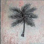 palm tree deco 6x6