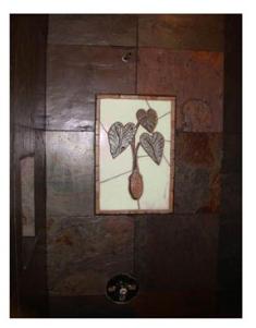 taro plant in shower wall