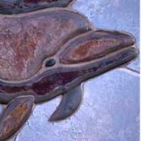 close up of dolphin in blue ceramicx