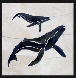 square mother and calf whales